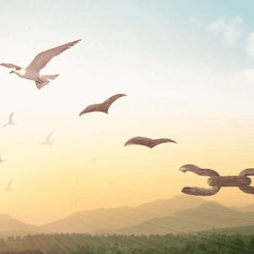 Several birds fly freely in a pastel sky at sunrise or sunset, with a broken chain in the foreground symbolizing freedom and liberation—much like SaVida Health’s commitment to addiction treatment. Green hills are visible below.