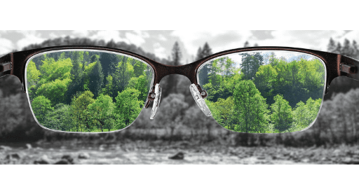 A pair of glasses with clear lenses showing a vibrant, green forest—symbolizing discovery—while the surrounding area outside the lenses is black and white and blurry.