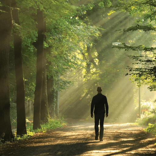 A person enjoys a peaceful walk in the woods, moving alone down a sunlit forest path surrounded by tall trees. Sunbeams filter through the branches, casting light and shadow on the leafy trail.