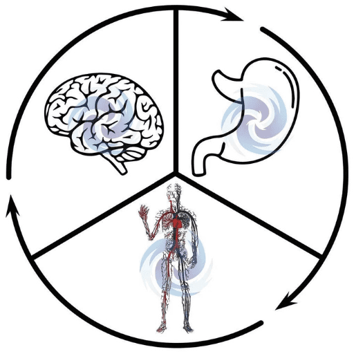 A diagram shows a brain, a stomach, and a human body, each in a section of a circle with arrows illustrating the addiction cycle and interaction between them. Blue swirls highlight key areas of focus in each section.