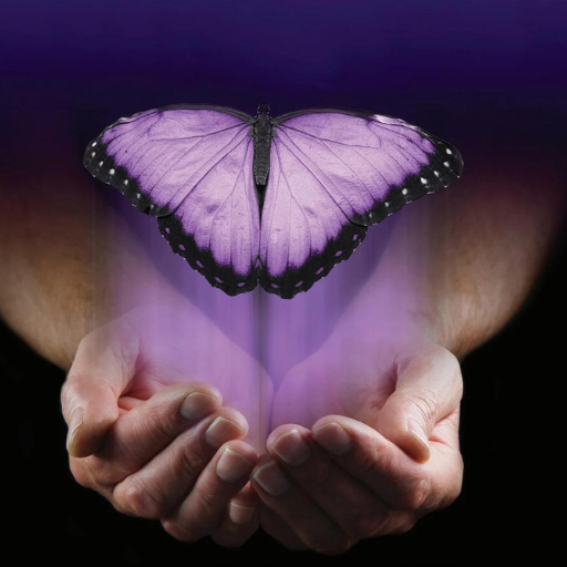 A pair of cupped hands gently holds a glowing, purple butterfly with black-tipped wings, as soft purple light radiates upward—symbolizing the guidance and hope offered by a Peer Recovery Coach.