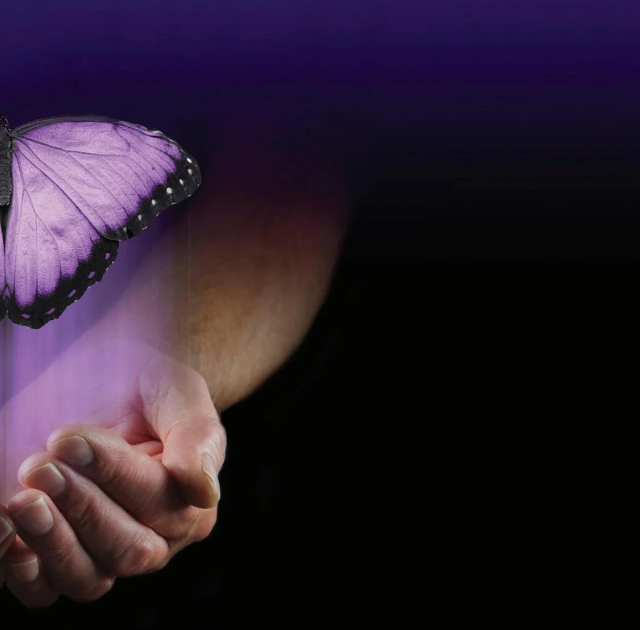 A pair of cupped hands gently holds a glowing purple butterfly, symbolizing the hope and guidance offered by a Peer Recovery Coach, with a dark gradient background fading from purple at the top to black at the bottom right.