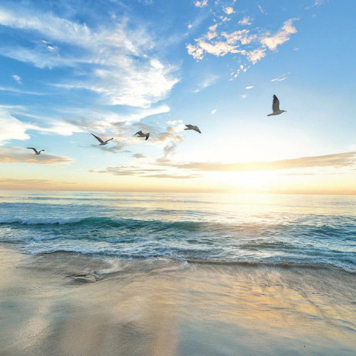 A serene beach at sunrise or sunset, with gentle waves perfect for surfing washing onto the shore. Six birds fly over the ocean under a partly cloudy sky, as soft sunlight gently illuminates the scene and stirs tranquil feelings.