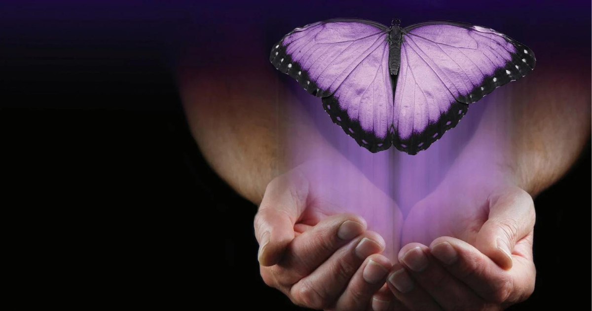 A pair of cupped hands gently holds a glowing purple butterfly, symbolizing recovery, with soft purple light emanating from the wings against a black background.