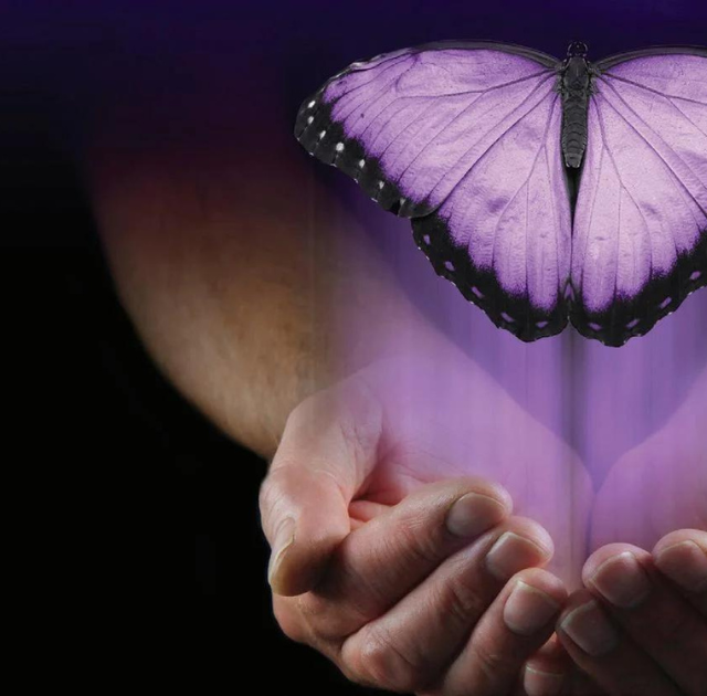 A pair of cupped hands gently holds a glowing purple butterfly, symbolizing recovery, with soft purple light emanating from the wings against a black background.