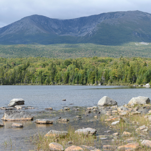 A rocky shoreline with scattered stones borders a calm lake, while dense green forest—evoking eco-spirituality—stretches to the base of a tall, rugged mountain beneath a cloudy sky in the background.