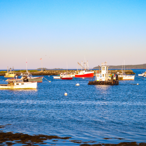 Fishing boats and tugboats anchored in a calm harbor under clear blue sky at dawn or dusk.