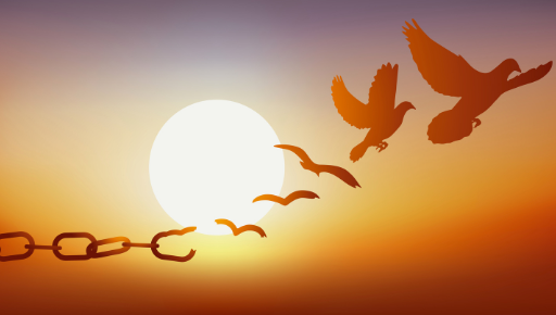 Silhouette illustration shows broken chain on left, bright sun in center, and birds flying right against orange sunset sky.