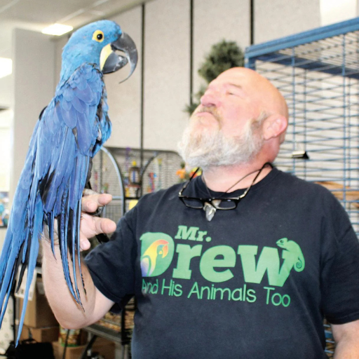 Man with beard holds blue macaw on his arm indoors, looking up at the bird.