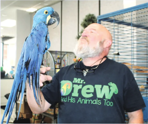 A bearded man wearing a Mr. Drew and His Animals Too shirt holds a large blue parrot on his hand while looking up at it; they appear to be inside an animal facility or pet shop.