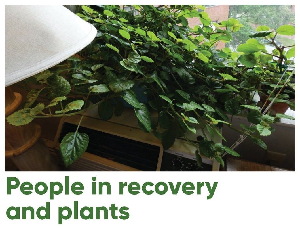 bill w plant
