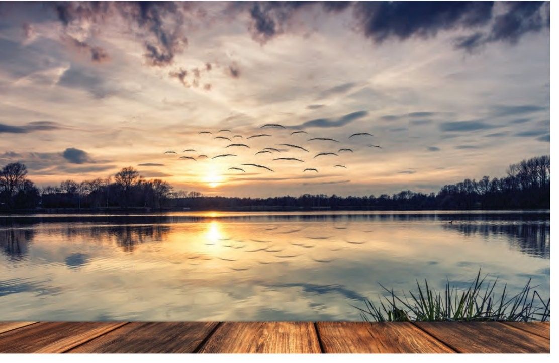 Featured image for the Journey Magazine article: The Search for Serenity.