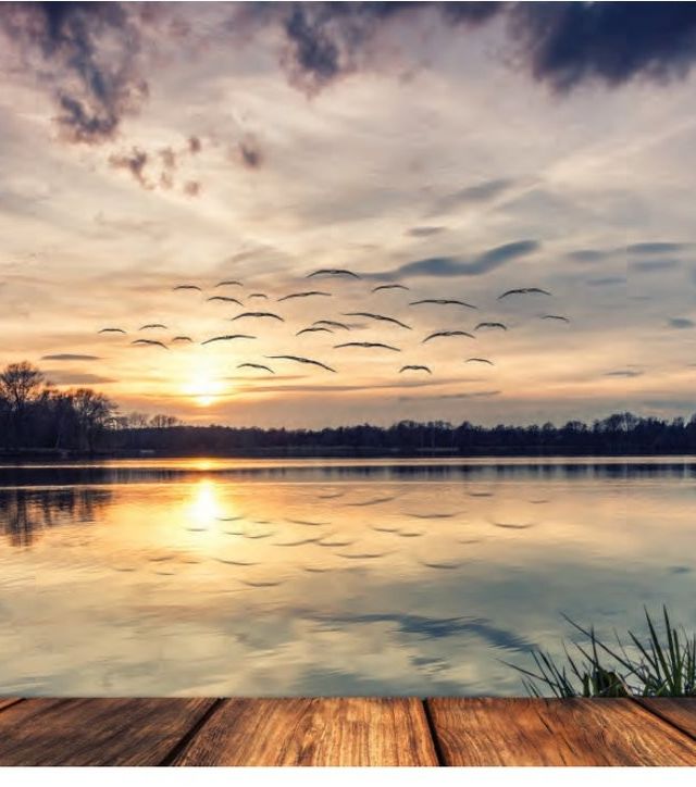 Featured image for the Journey Magazine article: The Search for Serenity.