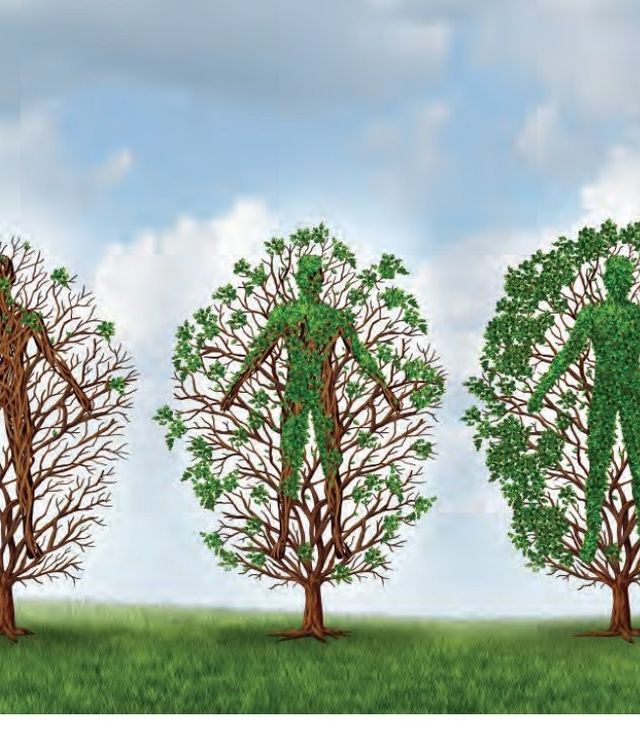 Featured image for the Journey Magazine article: 6 Ways to Fortify Yourself.