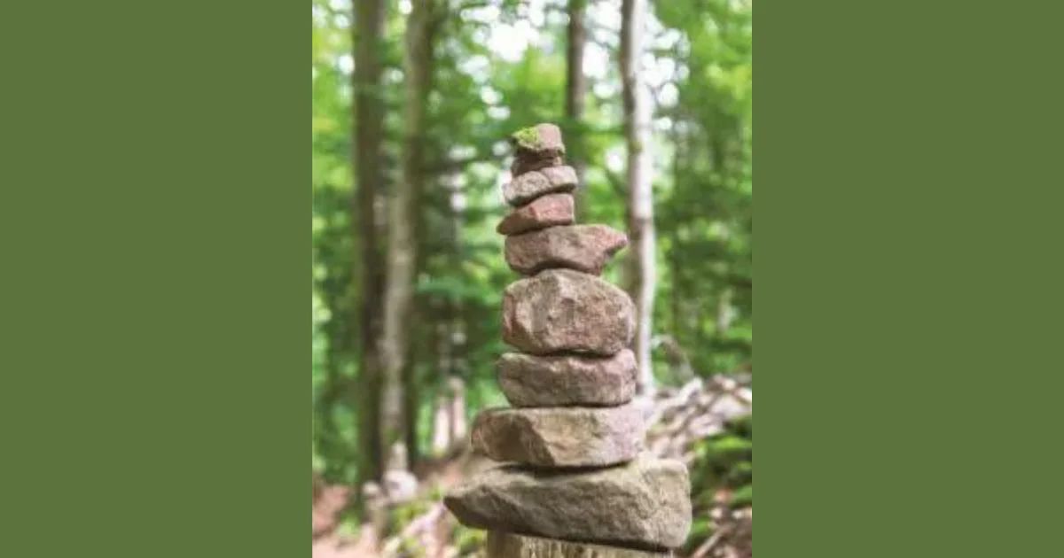 A balanced cairn of stacked stones on a forest floor.