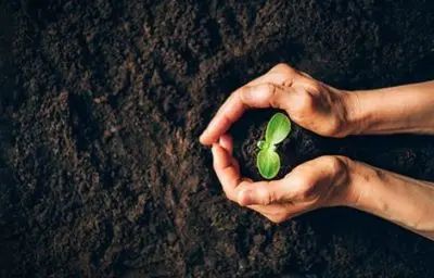 Featured image for the Journey Magazine article: Recovery Community Centers Offer Good Soil for a Place to Grow.