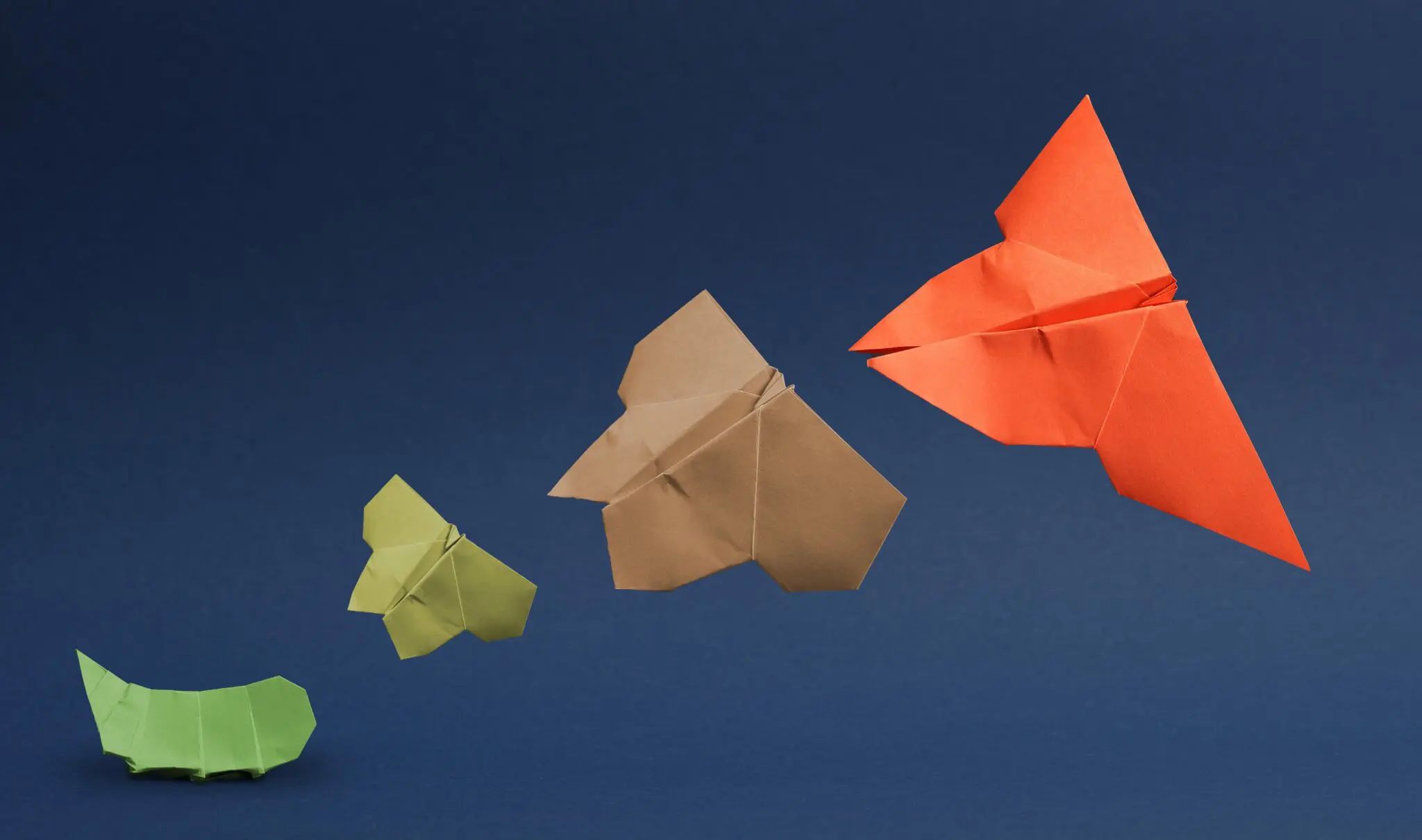Origami paper shapes in green, yellow, tan, and orange arranged on a dark blue background in increasing sizes.